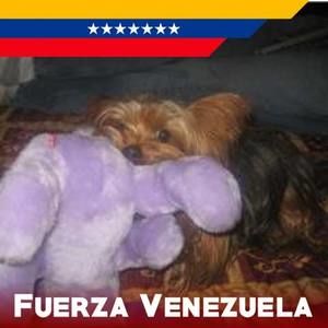 Meet your Posher, Magali